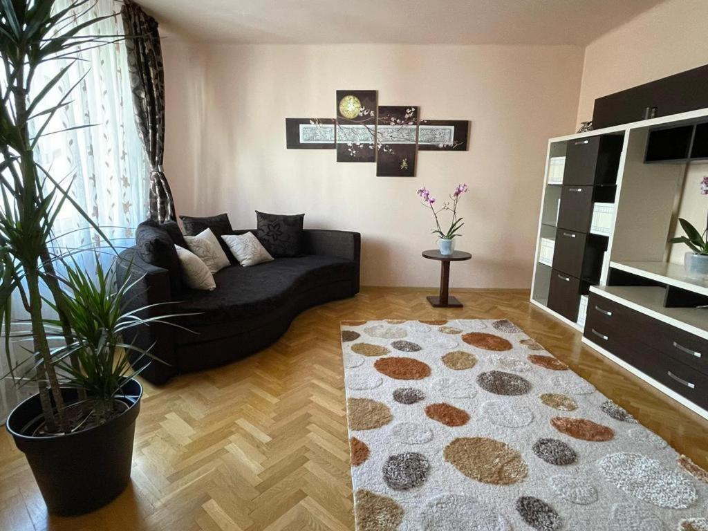 Winterland Sf.Ioan Appartement Braşov Buitenkant foto