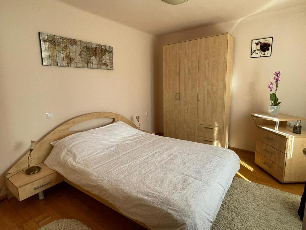 Winterland Sf.Ioan Appartement Braşov Buitenkant foto