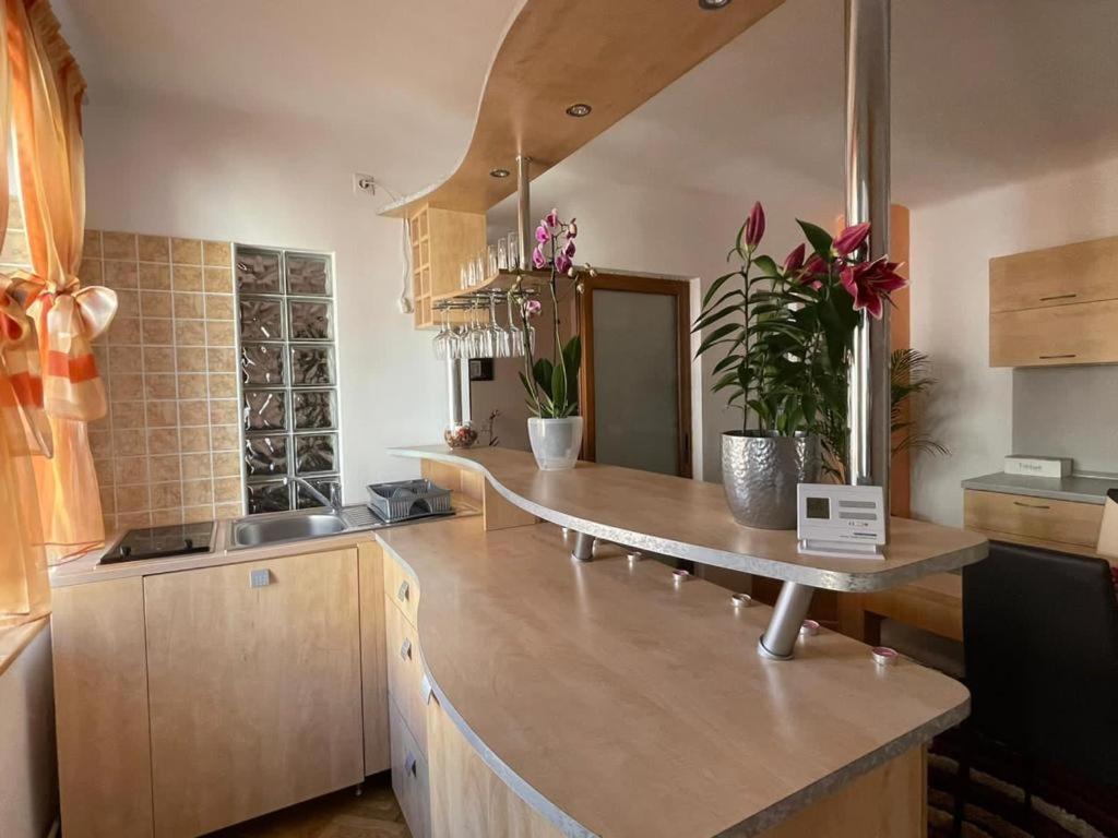 Winterland Sf.Ioan Appartement Braşov Buitenkant foto